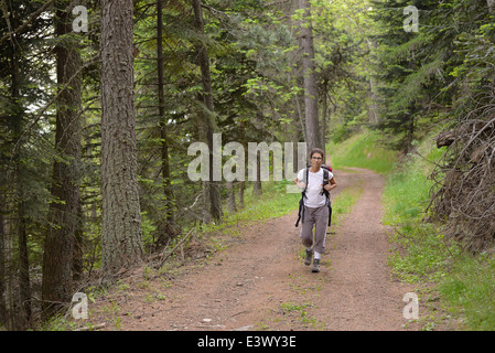 Female hiker marche sur route de campagne alpine luxuriante forêt de mélèzes. Location : Alpes, Piémont, Italie. Banque D'Images