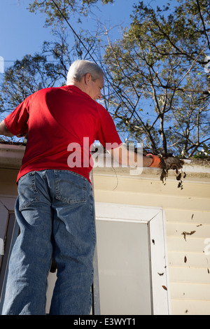 Homme mature Maison nettoyage des gouttières, USA Banque D'Images