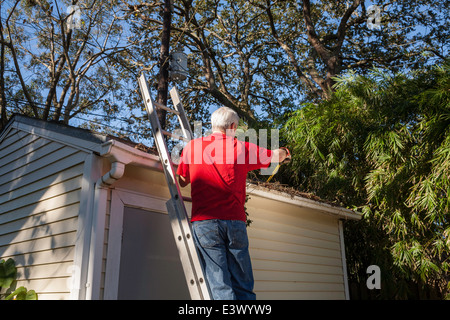 Homme mature Maison nettoyage des gouttières, USA Banque D'Images