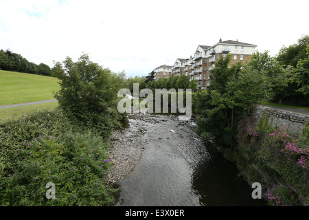 Une vue sur la rivière de la cuscute dans un endroit près de Milltown, au sud de Dublin, Irlande Banque D'Images