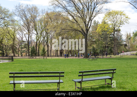 Des bancs vides et vert pelouse verdoyante, Central Park, NYC, USA Banque D'Images