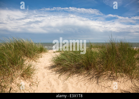 Sur la mer de chemin de sable à travers les dunes Banque D'Images