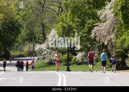 Le printemps à Central Park,, les coureurs sur route de l'Est, NEW YORK, USA Banque D'Images