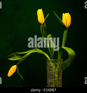 Tulipe - Jaune sur vert. Trois tulipes jaunes dans un vase sur le fond de couleur verte. Jeu des couleurs vert et jaune Banque D'Images