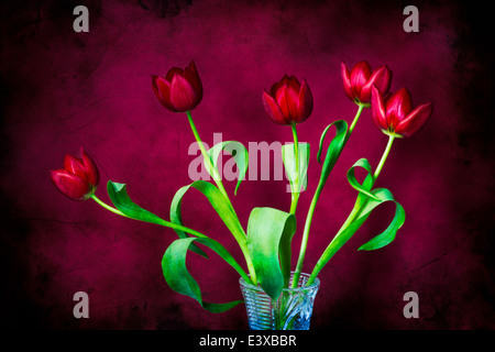 - Cinq tulipes rouges sur rouge. Un bouquet de tulipes rouges dans un vase en verre taillé sur fond de couleur rouge Banque D'Images