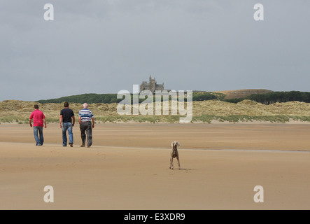 Trois hommes marchant sur une plage de sable en Irlande avec le château de Classiebawn au loin et un chien de Weimaraner sur la plage en regardant la caméra. Banque D'Images