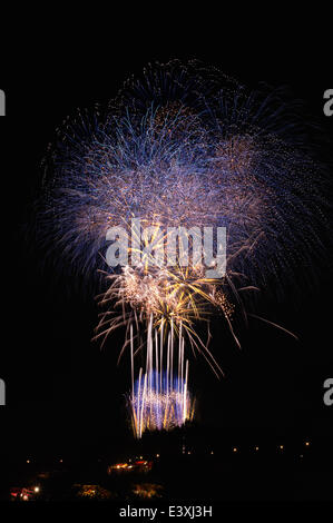 D'artifice Banque D'Images