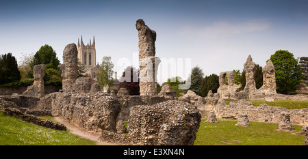 Royaume-uni l'Angleterre, dans le Suffolk, Bury St Edmunds, ancien monastère en ruines Abbey Park, panorama Banque D'Images