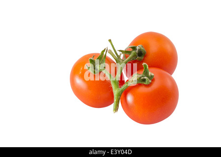 Bouquet de tomates Banque D'Images