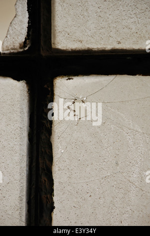 Broken Glass Window poussiéreux abstract background texture. Banque D'Images