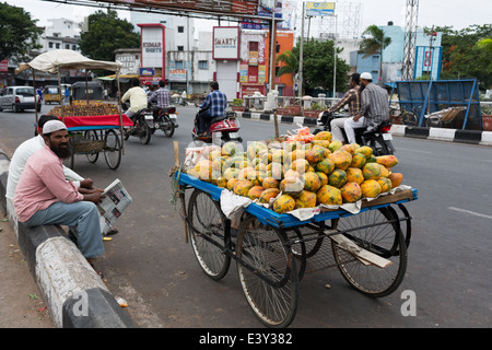 Vendeur papaye détente sur un trottoir à Hyderabad, Inde Banque D'Images