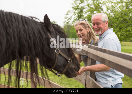 D'âge mûr l'alimentation à la main par cheval fence Banque D'Images