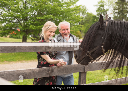 Alimentation par couple cheval clôture Banque D'Images