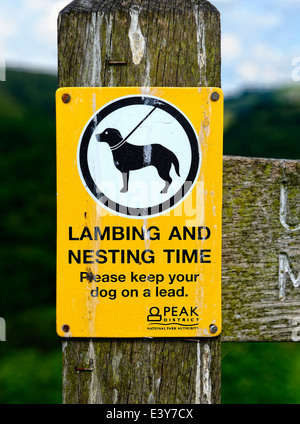 Période de nidification et d'agnelage signe peak district England UK Banque D'Images