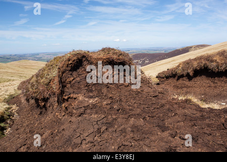 Hags sur tourbe banque roi tête au-dessus de Biggar dans le Southern Uplands d'Écosse, Royaume-Uni. Banque D'Images