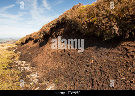 Hags sur tourbe banque roi tête au-dessus de Biggar dans le Southern Uplands d'Écosse, Royaume-Uni. Banque D'Images