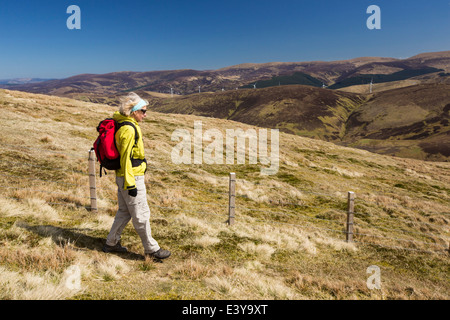 Une femme hill walker sur haut de Culter est tombé au-dessus dans les hautes terres du sud de Biggar de l'Écosse, au Royaume-Uni. Banque D'Images