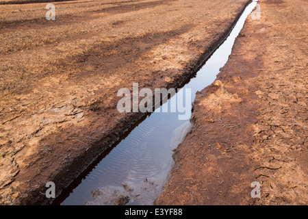 Une tourbière soulevée en cours de récolte de tourbe pour près de Douglas de l'eau dans les hautes terres du sud de l'Ecosse. Banque D'Images