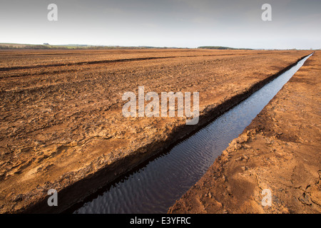 Une tourbière soulevée en cours de récolte de tourbe pour près de Douglas de l'eau dans les hautes terres du sud de l'Ecosse. Banque D'Images