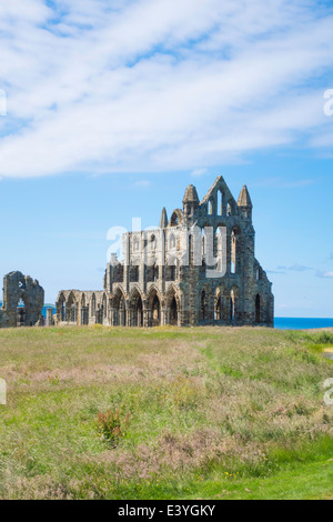 Les ruines de l'abbaye de Whitby North Yorkshire Angleterre dans le soleil d'été Banque D'Images