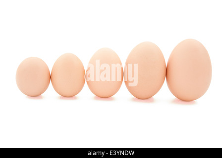 Oeufs de taille différentes line up with clipping path Banque D'Images