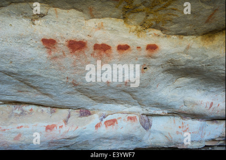 Site d'art rupestre appelé Elephant Hunt, Bushmans Kloof Wilderness, Afrique du Sud Banque D'Images