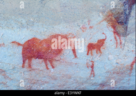 Site d'art rupestre appelé Elephant Hunt, Bushmans Kloof Wilderness, Afrique du Sud Banque D'Images