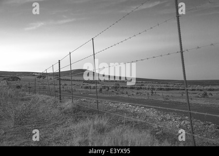 Terres agricoles en monochrome comme vue à travers une barrière de barbelé. Petite colline en arrière-plan. Banque D'Images