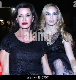 'Aide à arrêter la Brute' Pay it Forward Red Carpet Event comprend : Janice Dickson,Christina Fulton Où : Los Angeles, California, United States Quand : 06 déc 2013 Banque D'Images