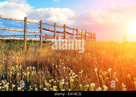 Clôture dans le champ vert sous nuage bleu ciel. Beau paysage Banque D'Images