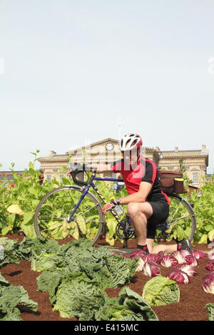 Huddersfield, West Yorks, UK. 2 juillet 2014. Maurice cycliste Legood, 67, à partir de Dewsbury marque une pause pour admirer la ferme. Les agriculteurs français, potager, moutons, poulets, porcs et une vache est apparu du jour au lendemain à St George's Square accueillera les navetteurs à l'extérieur de la gare. La ferme, qui propose également 1 700 laitues & 700kg de légumes, marque la fin de la 100 jours Yorkshire Festival 2014, pour célébrer le Grand Départ arrive à la comté. Credit : Deborah Vernon/Alamy Live News Banque D'Images