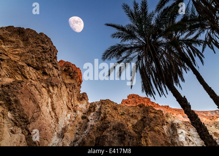 Lune dans un oasis de montagne Banque D'Images