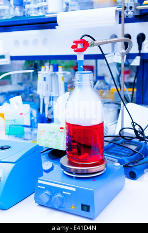 Laboratoire de recherche et développement de la thérapie cellulaire Banque D'Images