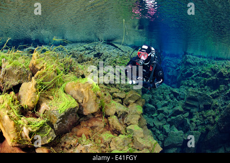 La plongée à l'île de Silfra S.p.a., crack, parc national de Thingvellir, Silfra S.p.a., Islande Banque D'Images