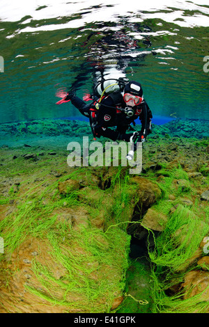 La plongée à l'île de Silfra S.p.a., crack, parc national de Thingvellir, Silfra S.p.a., Islande Banque D'Images