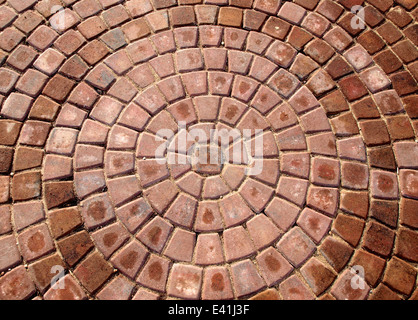 Patio de briques disposées en cercle Banque D'Images