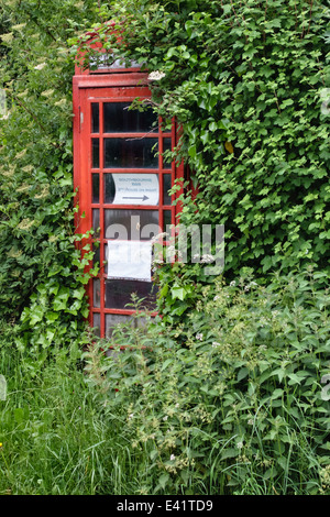 Une vieille cabine téléphonique dans le Herefordshire, UK, presque perdu dans la couverture de végétation Banque D'Images