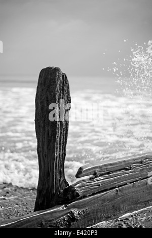 Image en noir et blanc d'une aine d'une plage de galets Banque D'Images