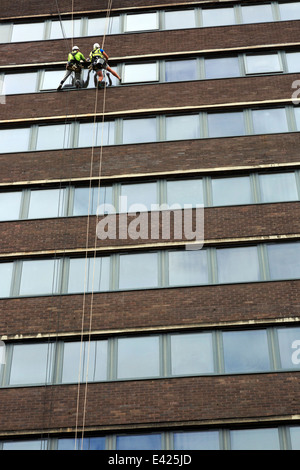 Deux hommes suspendu par corde et nettoyage du faisceau de Windows sur un bâtiment de plusieurs étages, Sauchiehall Street, Glasgow, Scotland, UK Banque D'Images