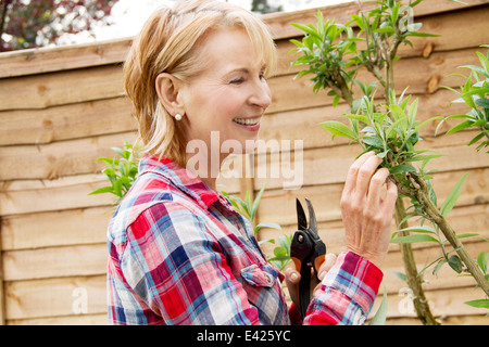 Mature Woman pruning tree in garden Banque D'Images