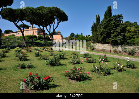 Italie, Rome, Aventino, Roseto Comunale, roseraie municipale Banque D'Images