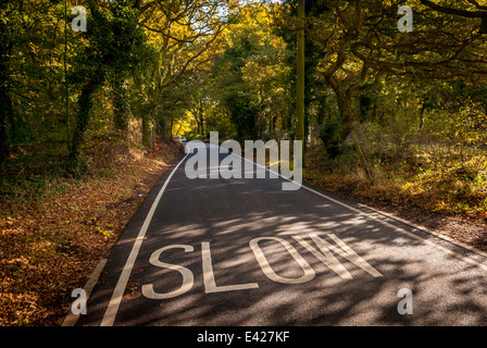 Panneau d'avertissement lente peint dans la route sur un chemin de campagne. Banque D'Images