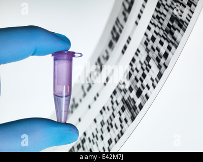 Échantillon génétique et l'ADN autoradiogram Banque D'Images