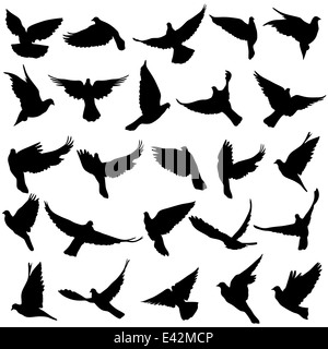 Concept d'amour ou de la paix. Jeu de silhouettes de colombes. Il vecteur Banque D'Images