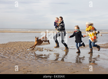 Mid adult parents avec son fils, sa fille et le chien qui court sur la plage, Bloemendaal aan Zee, Pays-Bas