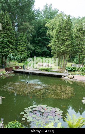Enlish vert jardin avec étang et pont avec poissons rouges et de fleurs Banque D'Images