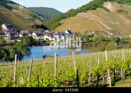 Vallée de la moselle, Allemagne Banque D'Images