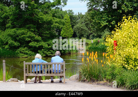 Vue arrière du couple sitting on bench dans jardins Banque D'Images