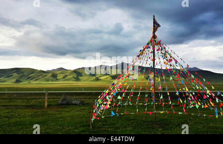 Ruoergai. 2 juillet, 2014. Photo prise le 2 juillet 2014 Afficher les décors de re'er prairie dans le comté de Ruoergai, sud-ouest de la province chinoise du Sichuan. © Jiang Hongjing/Xinhua/Alamy Live News Banque D'Images