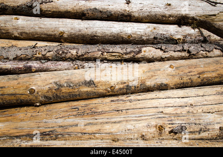 Arrière-plan de sciage utilisé dans la production de bois de chauffage Banque D'Images